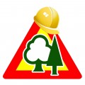 lavori in pineta