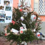 albero 10
