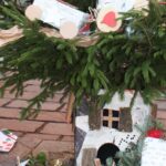 albero 10