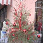 albero 11