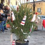 albero 12