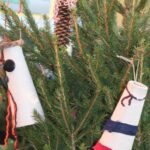 albero 12