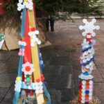 albero 13