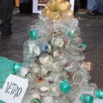 albero 15