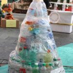 albero 17