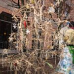 albero 18