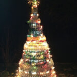 albero 19