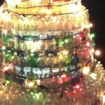 albero 19