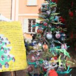 albero 4