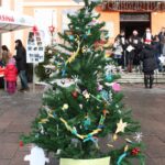 albero 6