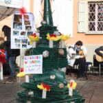 albero 7