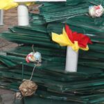 albero 7