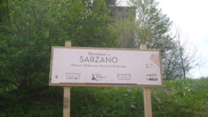 P1010377