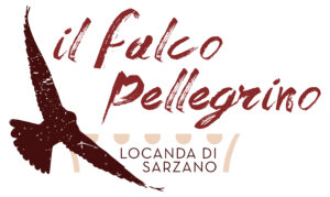 il_falco_pellegrino_logo_c
