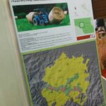 IMG_20150801_211429