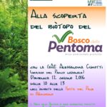 BoscoPentoma A4