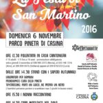 Locandina Festa di San Martino 2016