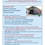 nevicare-p2
