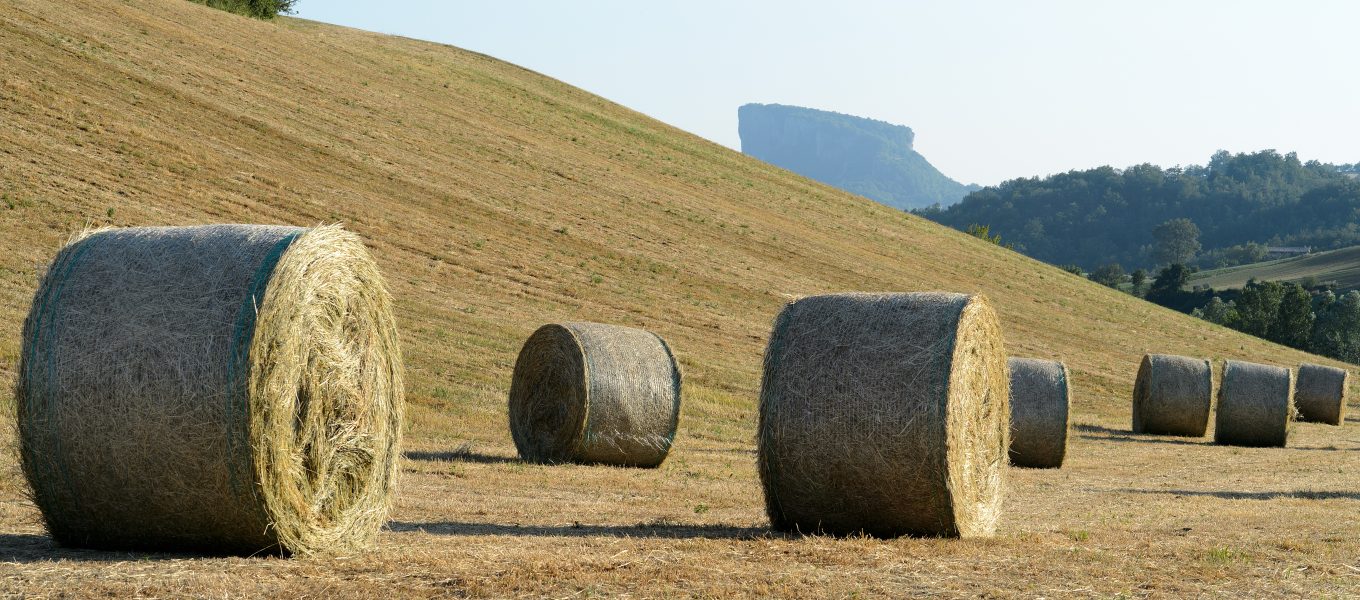 La Scuola del Paesaggio del Parmigiano Reggiano di Montagna