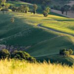 Il paesaggio del Parmigiano Reggiano, venerdì a Sarzano convegno e mostra fotografica
