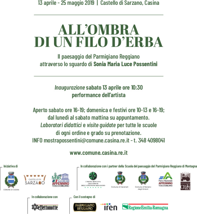All'ombra di un filo d'erba