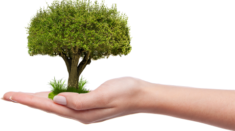 Giornata ecologica 2019