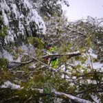 IMG-20190505-WA0039