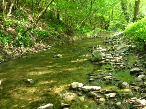 Val Tassobbio