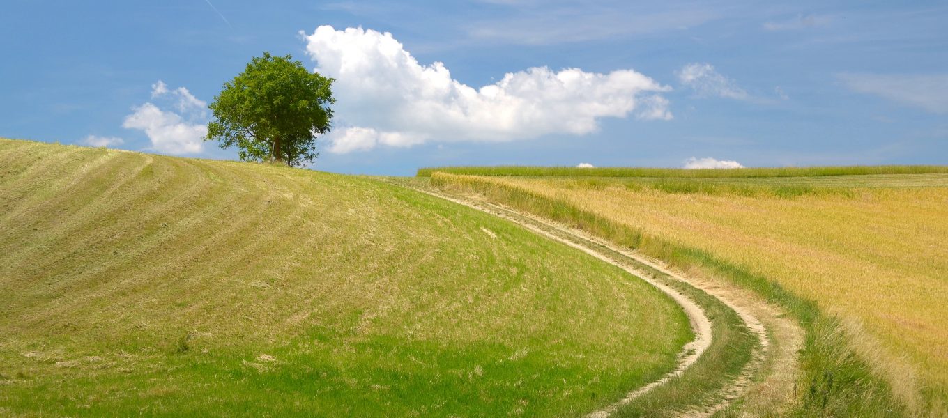 Un Manifesto per la Scuola del Paesaggio del Parmigiano Reggiano di Montagna