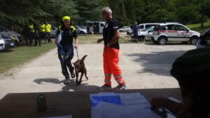 Emergenza ricerca dispersi