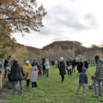 Festa degli alberi
