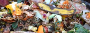 Compostaggio domestico