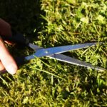 GiroVerde sospeso fino al 28 febbraio 2021