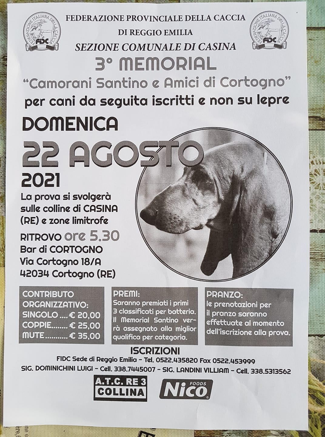 Ritrovo per cani da seguita