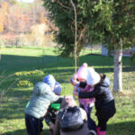 Festa degli alberi