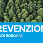 Ordinanze e regolamenti per l’abbruciamento di materiali di risulta da lavori agricoli – forestali